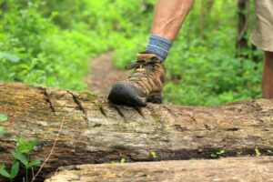 The Best Hiking Boots for Beginners Who Don’t Want to Overspend
