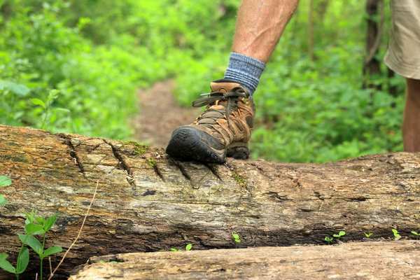 best hiking boots for beginners